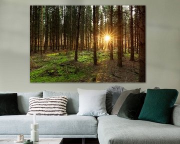 Zonlicht door de bomen - Zwaneveldsgat (Kolham- Nederland) van Marcel Kerdijk