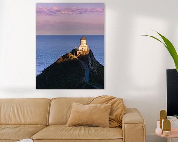 Nugget Point Lighthouse, Nieuw-Zeeland van Henk Meijer Photography