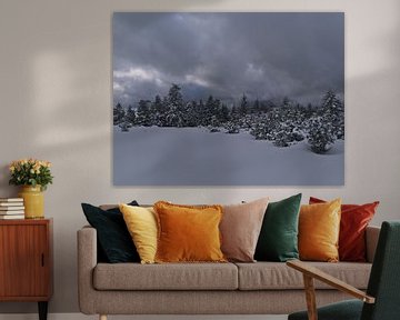 Winterlandschap met besneeuwde coniferen aan de rand van het bos met opkomende wolken van Timon Schneider