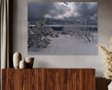 Winterlandschap met besneeuwd wandelpad in Zwarte Woud van Timon Schneider