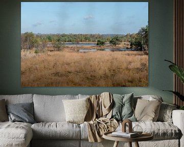 het gilderhauser venn natuur en wandelgebied van ChrisWillemsen