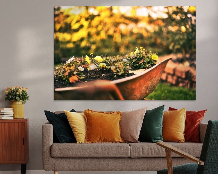 Aperçu de la chambre