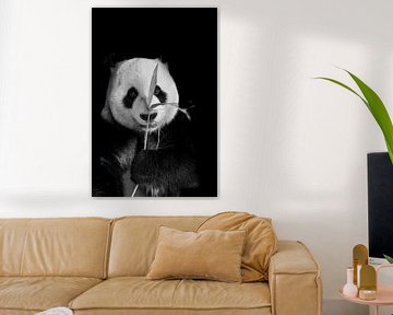 Panda géant sur Esther van Engen