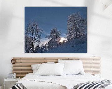 Dromerig winterlandschap op de Schwäbische Alb met besneeuwde bomen van Timon Schneider