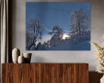 Traumhafte Winterlandschaft auf der Schwäbischen Alb mit schneebedeckten Bäumen von Timon Schneider