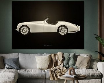 Jaguar XK-120 sur Jan Keteleer