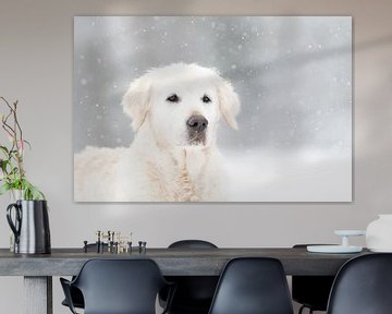 Golden Retriever in the snow by Desirée Couwenberg