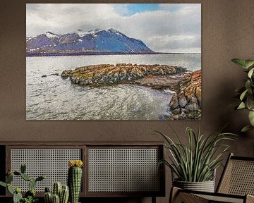 Borgarfjörður, IJsland
