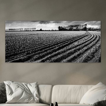 Seeländische Landschaft