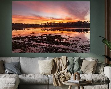 Zonsopkomst Dwingelderveld (Nederland) van Marcel Kerdijk