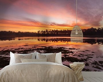 Zonsopkomst Dwingelderveld (Nederland)