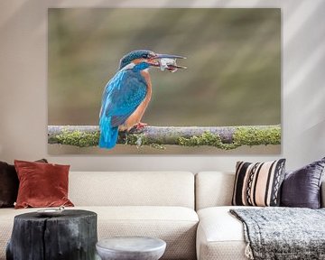 Kingfisher has a fish by Ans Bastiaanssen