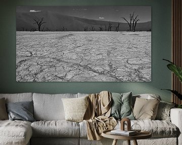 Zwart-wit foto van de opgedroogde grond in de Sossuvlei met dode bomen van Timon Schneider