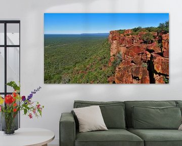 The red rocks of the Waterberg by Timon Schneider