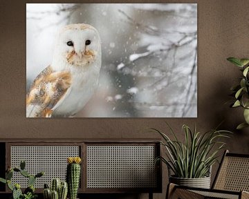 Kerkuiltje in de sneeuw van Cindy Van den Broecke