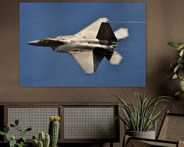 F-22 Raptor by Rogier Vermeulen