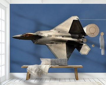 F-22 Raptor by Rogier Vermeulen
