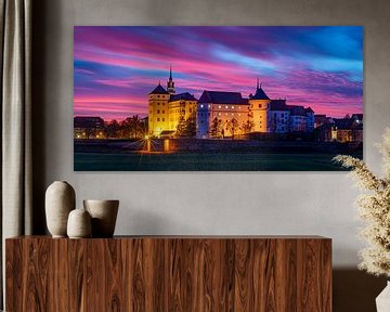 Hartenfels Castle in Torgau by Martin Wasilewski