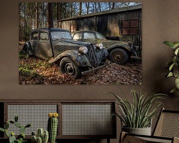 Citroen Traction avant in the forest