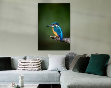 Kingfisher by Maurice van de Waarsenburg