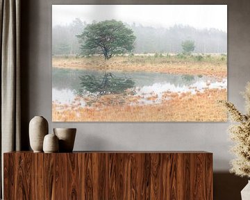 Hasselsvennen Leenderbos van GoWildGoNaturepictures