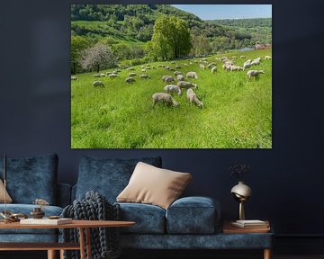 Kudde schapen in de lente van Achim Prill