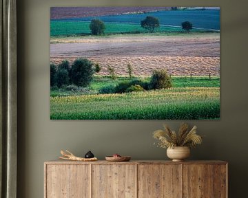 Kleurrijk landbouw landschap in Noord Frankrijk van Peter de Kievith Fotografie
