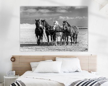 Paarden op het strand van Ameland