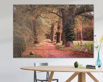 Autumnal lane