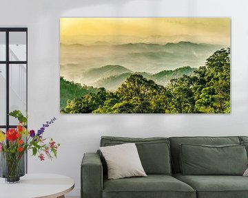 Rainforest with fog on the Genting highlands in Malaysia by Dieter Walther