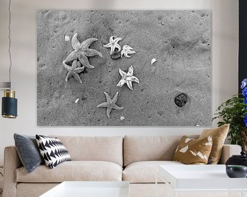 Zeesterren op het strand van Rob Donders Beeldende kunst