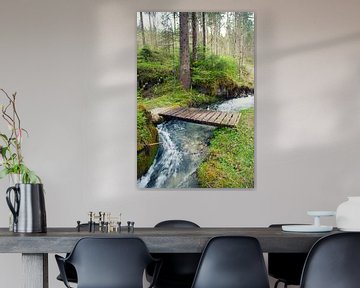 Un ruisseau dans la forêt sur Bo Valentino