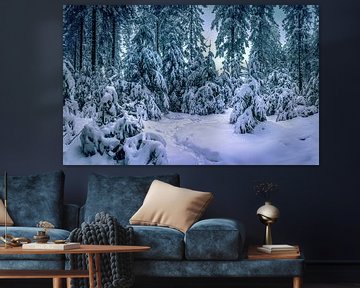 Dreamy winter by Wim van D
