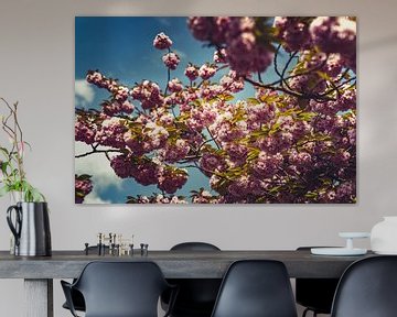 Bloesempracht: Een Lente-Expeditie Roze 01 van FotoDennis.com | Werk op de Muur