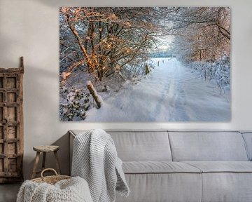 Winter bospad van Peter Bolman