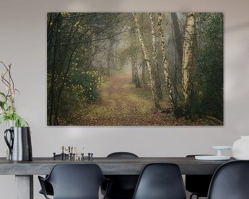 Forest path in misty autumn forest with birch trees