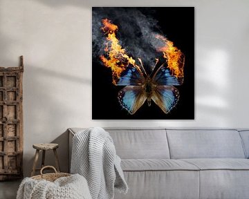 Burning butterfly by Achim Prill