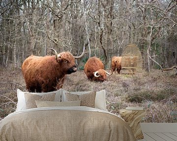 Hooglanders in de Verbrande Pan van Rob Donders Beeldende kunst