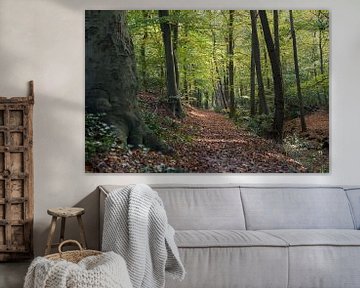 Autumn in the village by Rob Donders Beeldende kunst