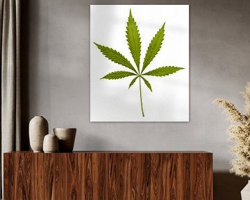 Cannabisblatt von Achim Prill