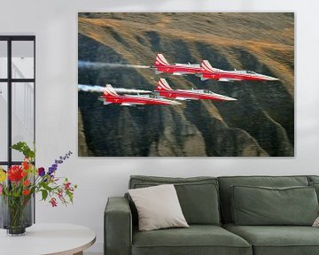 Patrouille Suisse van Rogier Vermeulen