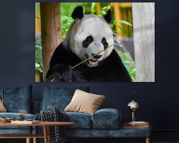 Lachende panda van Esther van Engen