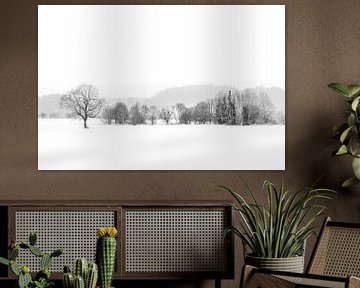 Panorama winter landscape with snow in black and white highkeys by Dieter Walther