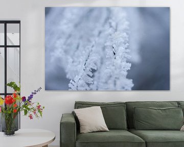 Makrofoto von Schnee und Raureif in der Natur von Karijn | Fine art Natuur en Reis Fotografie