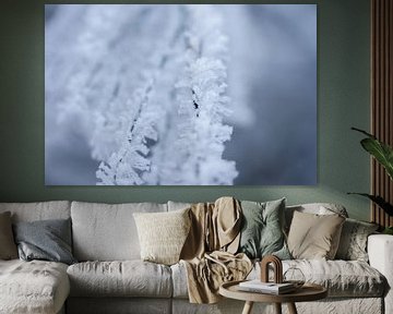 macrofoto van sneeuw en rijp in de natuur van Karijn | Fine art Natuur en Reis Fotografie