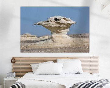 Rock formation in the White Desert by Achim Prill