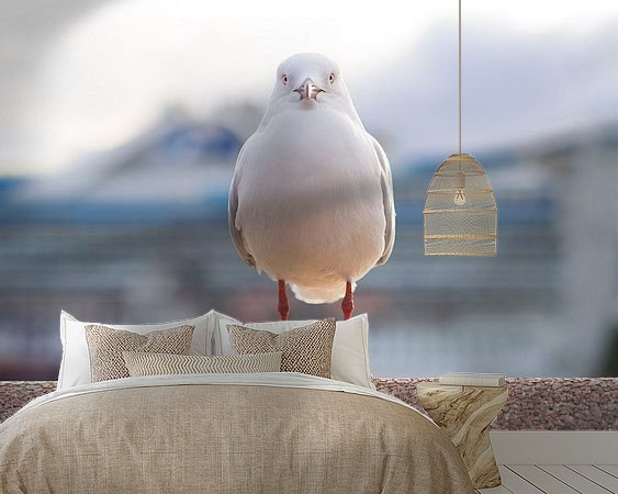 Voorbeeld van het werk in een kamer