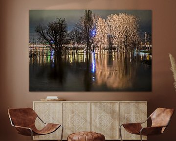 Overstroming in Keulen 2021 #3 van Stefan Havadi-Nagy