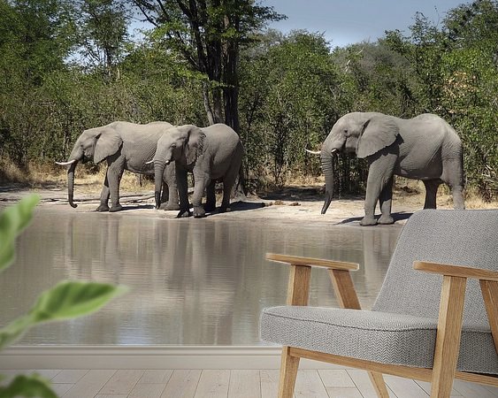 Aperçu de la chambre