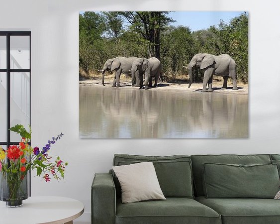 Aperçu de la chambre